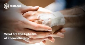 4 phases of chemotherapy